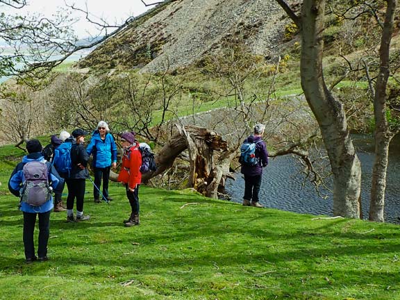 4.Conwy - Abergwyngregyn
7/4/24. A brief break in the climb at a small lake made for use by the nearby now disused quarry.
Keywords: April24 Sunday Eryl Thomas