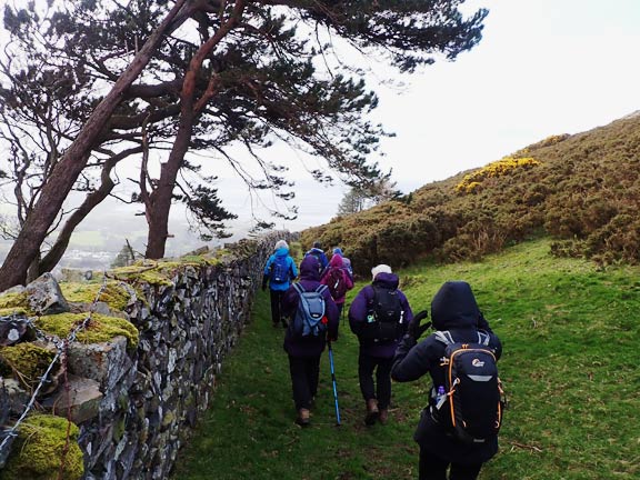 7.Conwy - Abergwyngregyn
7/4/24. Finally starting the descent down to Llanfairfechan at last.
Keywords: April24 Sunday Eryl Thomas