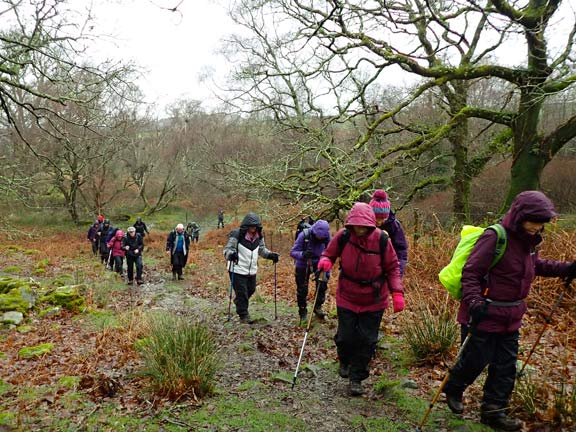 3. Llanbedr - Artro - Cwm Nantcol
15/2/24.  Emerging from  a particularly wet, slippery, and bouldery path on our approach to the Nantcol Falls.
Keywords: Feb24 Thursday Hugh Evans