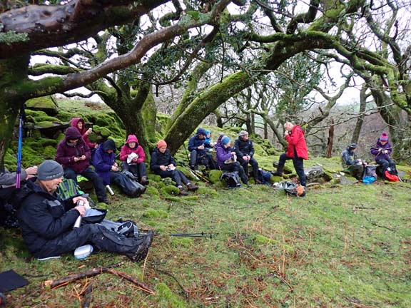4. Llanbedr - Artro - Cwm Nantcol
15/2/24. Lunch time in a fairly dry and sheltered spot.
Keywords: Feb24 Thursday Hugh Evans