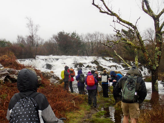 5. Llanbedr - Artro - Cwm Nantcol
15/2/24. The Nantcol Waterfalls in full spate. Photo: Dafydd Williams.
Keywords: Feb24 Thursday Hugh Evans