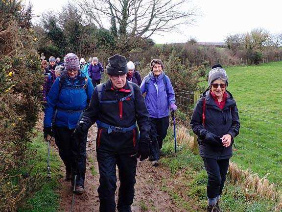 3. Llanbedrog - Pwllheli
Feb24. Just beyond the lane access to Carreg y Defaid. a touch of mud as you see. That was a muddy as the walk  got.
Keywords: Feb24 Thursday Chris Evans