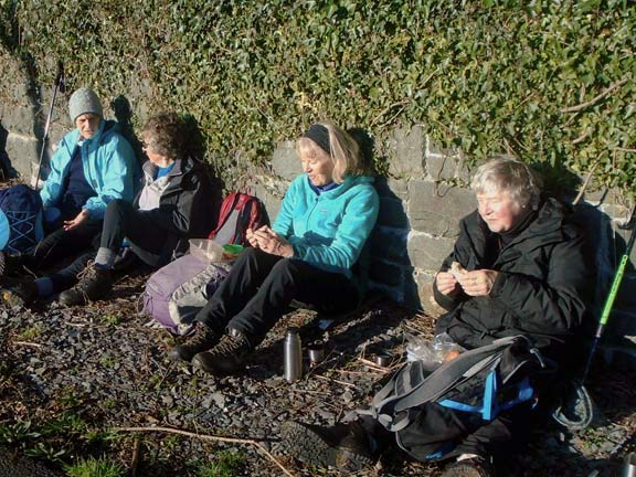 5.Llanystumdwy Circular
18/1/24. Soaking up the rays. Photo: Dafydd Williams.
Keywords: Jan24 Thursday Dafydd Williams