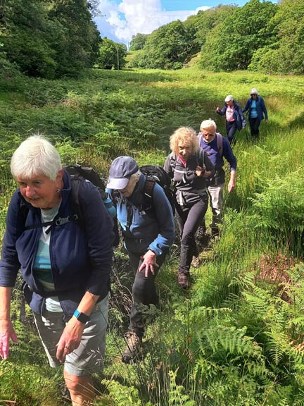 2.Gelli Iago - Cwm Llyn Edno - Llyn Gwynant
16/6/24. Close to Hafodydd Brithion on track. Photo: Eryl Thomas.
Keywords: Jun24 Sunday Noel Davey Hugh Evans