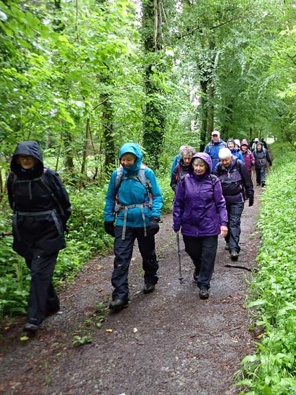 5.Parc Faenol - Felinheli Marina
23/5/24. Close to the Boathouse Covert on the outward leg of the walk.
Keywords: May24 Thursday Miriam Heald