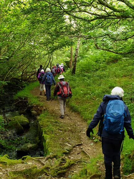 6.Tal-y-bont  -  Bryn Hall
30/6/24. A bit further on from the church we follow Afon Llan west of Llanllechid.
Keywords: Jun24 Sunday Dafydd Williams