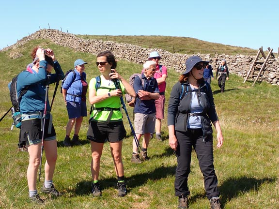 2. Tyrrau Mawr
19/05/24. The two lakes and a style behind us we continue towards the road leading to the Pony Path. 
Keywords: May24 Sunday Sally Kettle Debbie Lucas