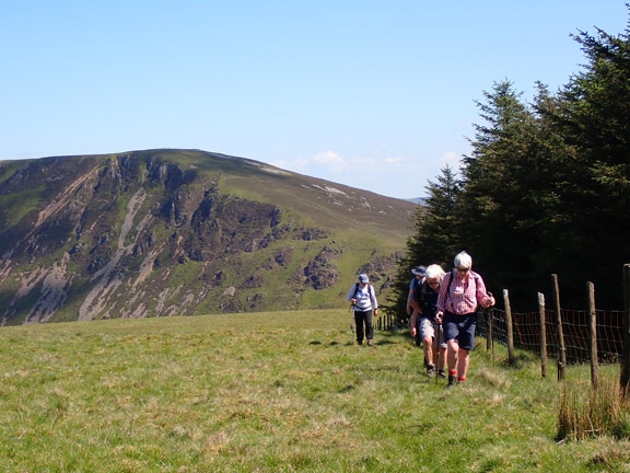 9. Tyrrau Mawr
19/05/24. Nearly at the end of the ridge, walking alongside a forestry plantation near Braich Ddu.
Keywords: May24 Sunday Sally Kettle Debbie Lucas
