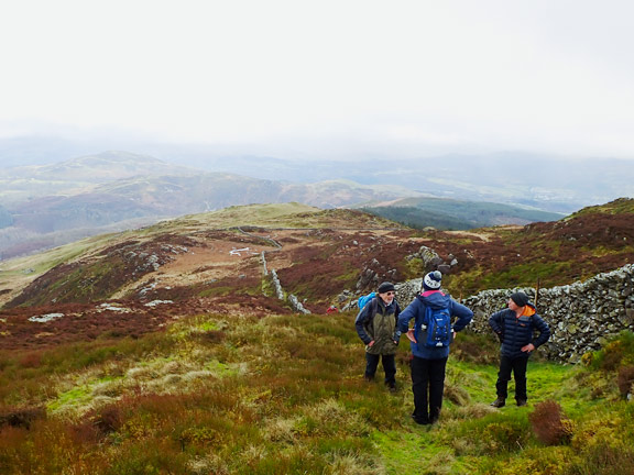 5.Garn III
11/2/24. Just 160 ft to the summit. Between Nannau-is afon and Bryn Bedwog. 
Keywords: Feb24 Sunday Gareth Hughes