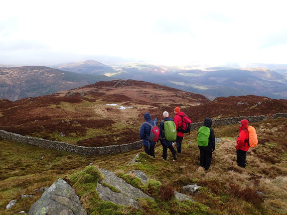 7.Garn III
11/2/24.  On our way down from the summit, reaching the wall which will take us a good distance down the mountain. Moel Llyfnant and Arennig Fawr in the  far background.
Keywords: Feb24 Sunday Gareth Hughes