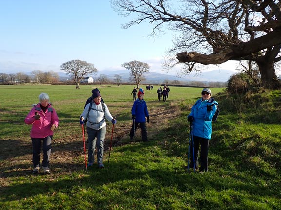 3. Y Foryd
13/02/25. We have just passed Tyddyn-Alice Farm and are close to our panad break.
Keywords: Feb25 Thursday Judith Thomas