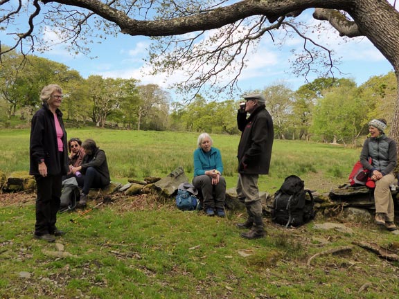 1. Criccieth - Treflys - Pentrefelin circuit
20/4/25. Lunch underneath a rather magnificent tree slightly North West of Wern on what used to be the main Penmorfa/Pentrefelin road Photo: Gwynfor Jones.
Keywords: Apr25 Sunday Dafydd Williams