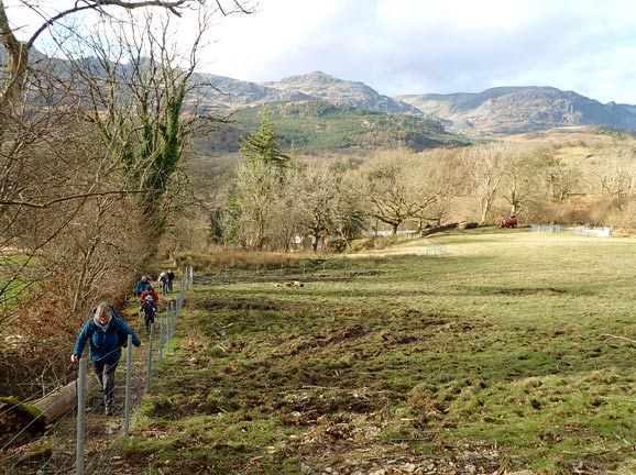 7. Llan Ffestiniog River Valleys and Falls
27/02/25. Approaching Llan Ffestiniog with about 200 metres to go. Moelwyn Mawr and Moel-yr-hydd in the background.
Keywords: Feb25 Thursday Noel Davey