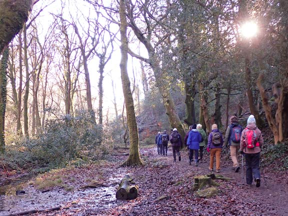 3.Porthmadog - Tremadog - Borth-y-Gest
16/1/25. In a small area of woodland SE of the square in Tremadog. A few minutes later in the middle of this woodland it was morning cuppa (panad) time. Delightful.
Keywords: Jan25 Thursday Colin Higgs