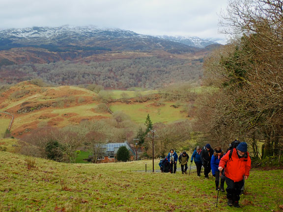 5.Trawsfynydd - Gellilydan
12/1/25. Climbing up from the main Maentwrog - Gellilydan Road. Moelwyn Bach in the background.
Keywords: Jan25 Sunday Gwynfor Jones