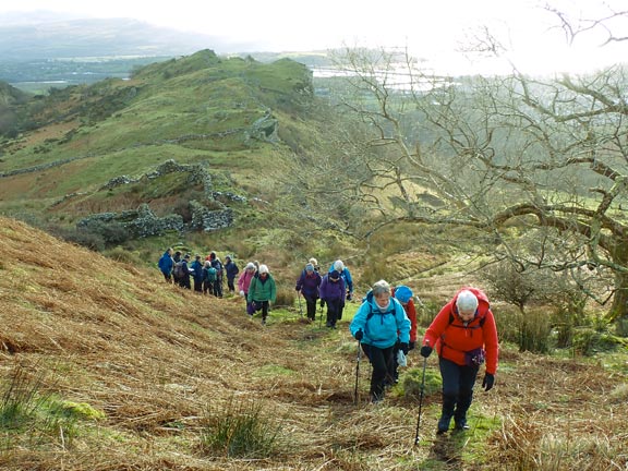 3. Tremadog Hills
30/01/25. Moving off the farmers track to follow a path up a steep incline up to some hut circles.
Keywords: Jan25 Thursday Noel Davey