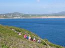 Filename=Aberdaron-PYCil20.jpg
Filesize=80KiB
Dimensions=576x432
Date added=May 24, 2025 Aberdaron-PYCil20.jpg
