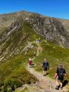 Filename=EigiauHorseshoeND30-P.jpg
Filesize=80KiB
Dimensions=432x576
Date added=May 27, 2025 EigiauHorseshoeND30-P.jpg