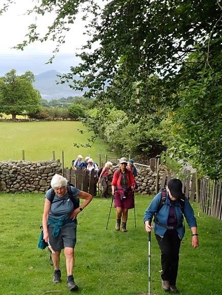 6. Aber-Ogwen - Abergwyngregyn
31/05/26. Arriving at Cochwillan farm and turning right northwards to start following Afon Ogwen to the coast.
Keywords: May26 Sunday Kath Mair