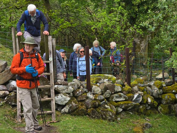 4.  Arthog - Llynnau Cregennen - Kings Circ
3/5/26. Emerging from the steep wooded section of the walk out onto upland pasture.
Keywords: May26 Sunday Hugh Evans