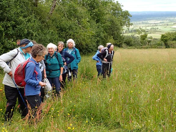 5. Clynnog Fawr - Caeau Tanybwlch - Henbant-bâch
18/6/26. At Caeau Tan-y-Bwlch. Fields managed by the North Wales Wild Life Trust. We were searching for the Greater Butterfly-orchid and saw quite a few. https://www.plantlife.org.uk/our-work/caeau-tan-y-bwlch-nature-reserve/
Keywords: Jun26 Thursday Jane Logan