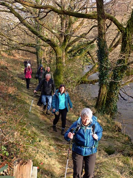 7. Craflwyn - Watkin Path - Llyn Dinas Circ.
25/1/26. Nearly back at Craflwyn Hall.  Walking alongside Afon Glaslyn from Sygyn Mine.
Keywords: Jan26 Sunday Selina Thomas Hugh Evans
