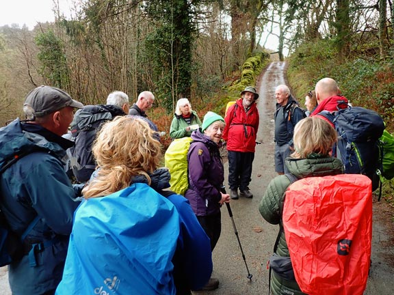 2. Dolwyddelan - Ty Mawr Wybrnant circ
8/2/26.Moving on to tarmac for a time, as we join a minor road heading south near Cyfyng, and around 3.4 miles from the start point. We have been making excellent progress on a very even forestry track. The leader is checking that all is well.
Keywords: Feb26 Sunday Gwynfor Jones