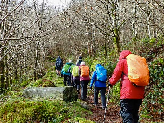 5. Dolwyddelan - Ty Mawr Wybrnant circ
8/2/26. Climbing up from Ty Mawr Wybrnant our tarmac road has turned into a narrow uneven slippery path at about 800ft and continuing  upwards to 1129ft.
Keywords: Feb26 Sunday Gwynfor Jones