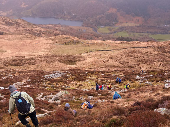 7. Gallt y Wenallt
22/02/26. Coming down one of the steep lower slopes of Y Lliwedd, in a SE direction, with Llyn Gwynant below us in the background Photo: Eryl Thomas.
Keywords: Feb26 Sunday Noel Davey