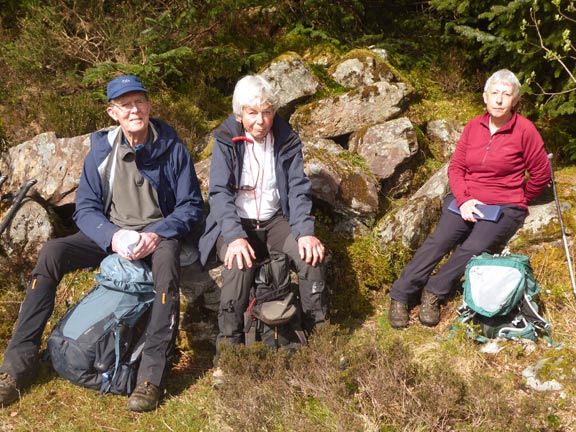 3. Moel Siabod Foothills
19/04/26. Panad time close to a footbridge over the stream. On the OS map it is down as a ford. As we entered the forested area we heard our first cuckoo. Photo: Gwynfor Jones.
