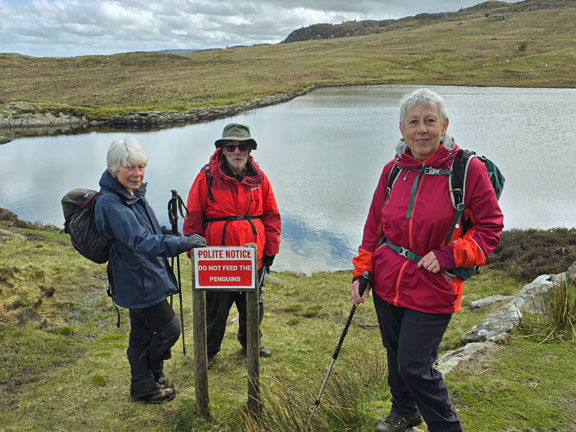 6. Moel Siabod Foothills
19/04/26. On our way down from Llyn y Foel where we had a rather chilly lunch. We are standing besides an un-named lake which has a problem with walkers feeding the penguines.
