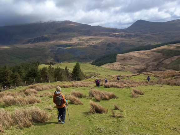 5. Mynydd Mawr
5/4/26. Heading towards Drws-y-Coed farm. Yr Aran can be seen in the background on the right and the lower slopes of Snowdon in the background left and centre. Rhyd-Ddu in the valley this side of Yr Aran. Photo: Eryl Thomas.
Keywords: Apr26 Sunday Noel Davey