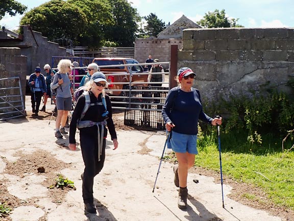 6. Parys Mountain - Mynydd Eilian
28/6/26. Experiencing a little problem at Glan-Llyn farm where the official path looked unsafe due to animals beyond the gate. We took an alternative route through the farm which didn't really please the farmer.
Keywords: Jun26 Sunday Noel Davey
