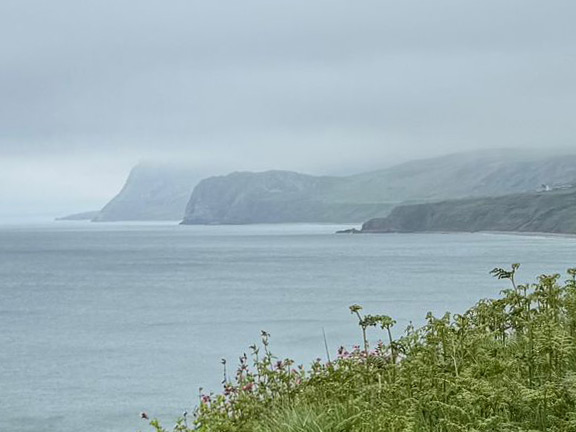 5. Nefyn - Duck Pond
21/5/26. It was just as well that we didn't do Mynydd Nefyn. The weather at height does not look at all clever. Photo: Judith Thomas.
Keywords: May26 Thursday Miriam Heald