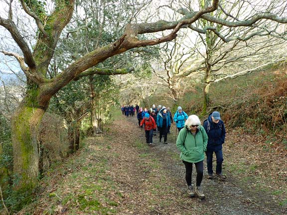 3. Portmeirion
29/1/26. The long straight but not too steep road up from close to Boston Lodge (the Ffestiniog Railway workshops).
Keywords: Jan26 Thursday Tecwyn Williams