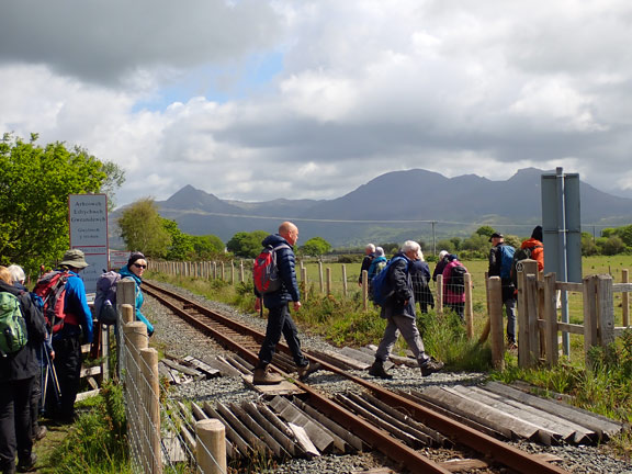 3. Tremadog Hills
17/5/26. A crossing a bit further up the track, with the Moelwyns joining Cnicht in the background.
Keywords: May26 Sunday Eryl Thomas