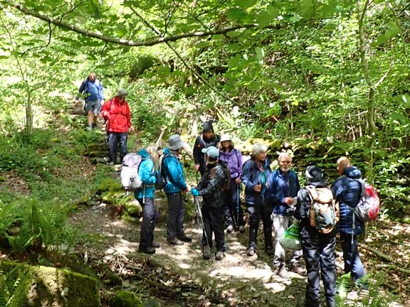 5. Tremadog Hills
17/5/26. Close to Pant Ifan. Pant Ifan is the second home of the Cave and Crag club members. https://www.caveandcrag.co.uk/about/club-hut
Keywords: May26 Sunday Eryl Thomas