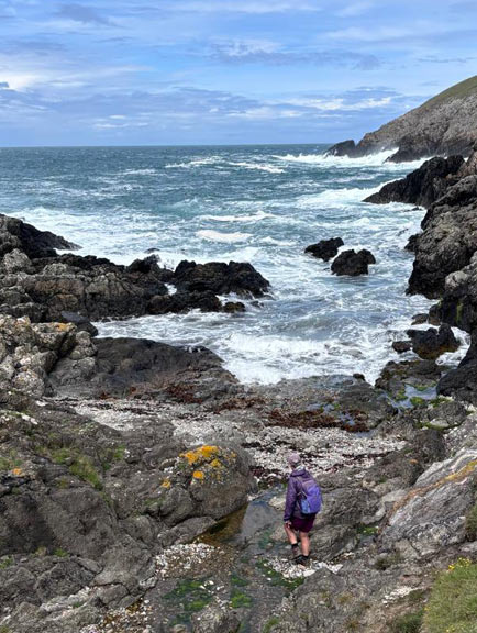 3. Uwchmynydd - Porth Llanllawen
4/6/26. One wishing to commune with nature, close up. Photo: Louise Fletcher Brewer.
Keywords: Jun26 Thursday Judith Thomas