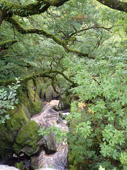 5. Betws -y-Coed - Fairy Glen - Conwy Falls
14/9/23. 180 yds further on from the café on a road bridge looking down on Afon Conwy which was in full spate.
Keywords: Sep23 Thursday Dafydd Williams