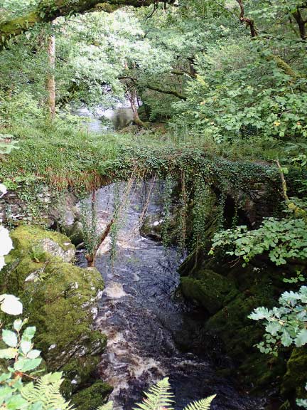 6. Betws -y-Coed - Fairy Glen - Conwy Falls
14/9/23. Roman Bridge crossing Afon Machno. We saw a walker crossing it but it wasn't for me.
Keywords: Sep23 Thursday Dafydd Williams