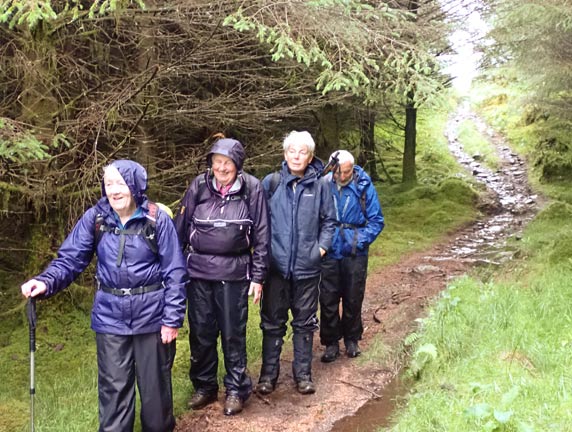 2.Llanfachreth - 'Coed-y-Brenin'
16/07/23.We had made the ascent up through Bwlch Gwyn and are in some forestry. Just back on our feet after the morning panad.  The descending path (stream) ahead is being is being critically examined before setting off.
Keywords: Jlu23 Sunday Hugh Evans