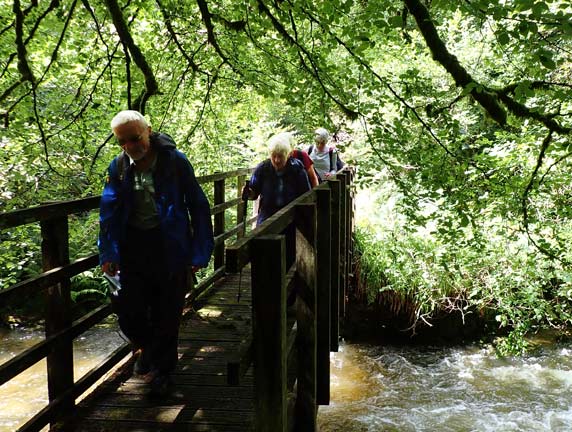 5.Llanfachreth - 'Coed-y-Brenin'
16/07/23.  Just below Mynydd Pen-ros. Crossing the Afon Wen for the last time with a very steep path ahead to get us out of the valley.
Keywords: Jlu23 Sunday Hugh Evans