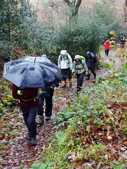 2. Dyffryn Maentwrog
19/11/23. A stiff climb up from the layby through Coed Cae Fali.
Keywords: Nov23 Sunday Hugh Evans