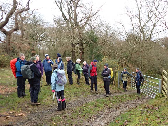 3.Eifionydd Circular
17/12/23.  A possible short cut back to the starting point, observed by one of our number.
Keywords: Dec23 Sunday Kath Mair