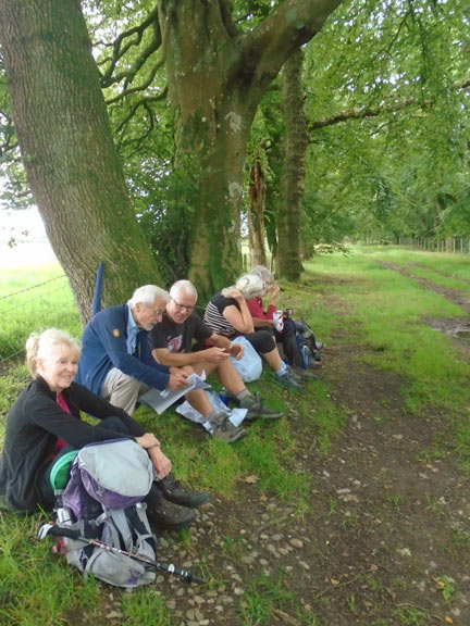 6.Lôn Goed
13/8/23. The ideal spot for lunch. Photo: Dafydd Williams
Keywords: Aug23 Sunday Dafydd Williams
