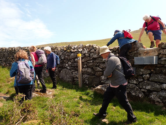 5.Moel Bronmiod
20/07/23. Over the new stile at the bottom of Moel Bronmiod. It should last some time.
Keywords: Jul23 Thursday Judith Thomas