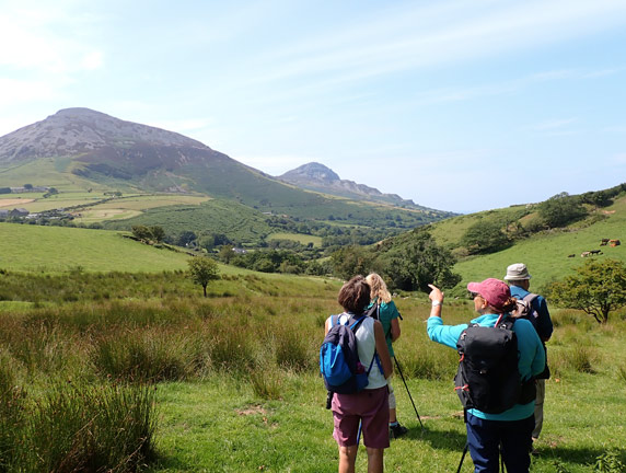 8.Moel Bronmiod
20/07/23. Just a quarter of a mile to the main road which will take us into Llanaelhaearn. The Yr Eifl range is in the background.
Keywords: Jul23 Thursday Judith Thomas