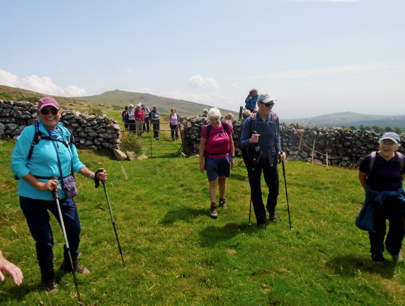 6.Moel Bronmiod
20/07/23. We are about to turn down through Fron-heulog.  The summit of Moel Bronmiod can be seen in the background. Photo: Dafydd Williams.
Keywords: Jul23 Thursday Judith Thomas