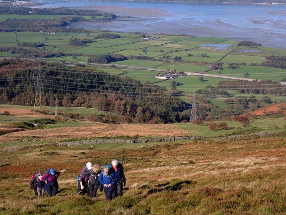 3.Moel Wnion-Moel Faban
22/10/23. The beginning of the ascent up Moel Wnion. Luckily there was a coffee/tea break exactly where the camera took this photograph. A lovely site looking over the Menai Strait and Anglesey.
Keywords: Oct23 Sunday Annie Andrew