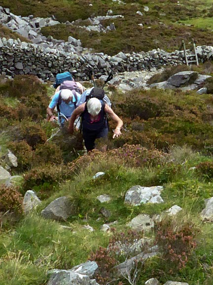 2.Clip, Moel Ysgyfarnogod and Foel Penolau.
10/09/23. Starting the ascent of Clip via Bwlch Gwylim Photo: Gwynfor Jones.
Keywords: Sep23 Sunday Adrian Thomas